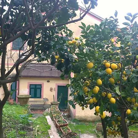 Case Vacanze Garibaldi Monterosso al Mare